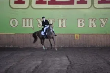 IMGP5123.webp