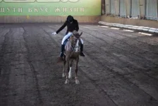 IMGP5151.webp