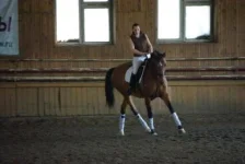 IMGP5265.webp