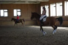 IMGP5354.webp