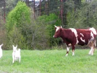 SAM_1111.webp