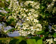 IMG_1178.webp