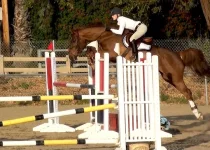 charlie jump.webp