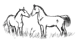 kissing horses.webp