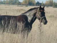 x_6fb322ab.webp