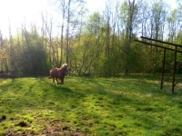 SAM_1130.webp