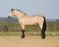 3.webp