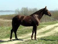 x_769b2527.webp