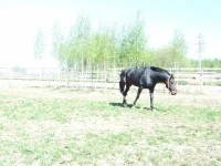 DSCF6063.webp