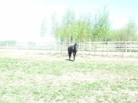 DSCF6062.webp