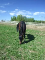 DSCF6088.webp