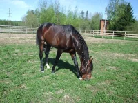 DSCF6090.webp
