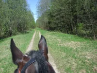DSCF6083.webp