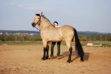 15.webp