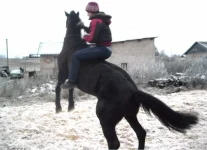 x_74bfb464.webp
