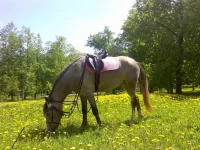 x_bd1a7230.webp