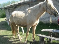 x_446459ba.webp