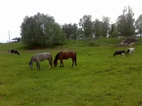 x_5b34c23e.webp