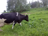 x_ad377bb7.webp