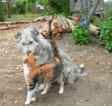 SAM_1361.webp