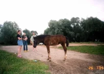 x_cf646afb.webp
