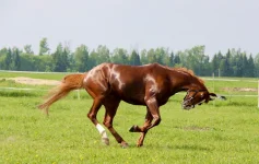 IMG_6779_новый размер.webp