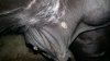 20170115_155757.jpg 20170115_155757.jpg