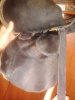 Lenovo_A1000_IMG_20170109_121750.jpg