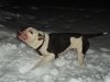 SAM_0167.JPG