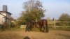 IMG_1330-21-11-16-16-12.jpeg