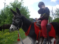 IMGP6763.webp