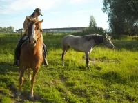 25.webp