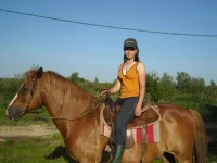 30.webp