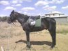 IMG0207A.jpg