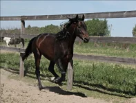 x_c0e8e472.webp