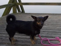 ostsee 036.webp