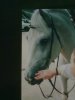 19062011252.jpg