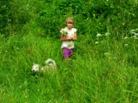 SAM_1611.webp