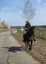 лп1.webp
