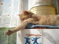 x_3e5869ac.webp