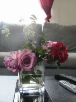 001.webp