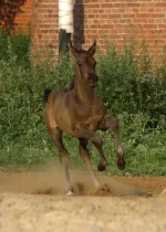P7025232мал.webp