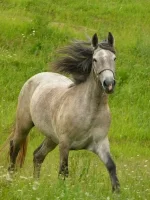 x_bfebd128.webp