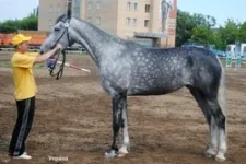Управа.webp