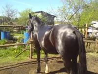 DSC00091.webp