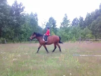 050720112952.webp