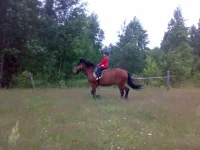 050720112953.webp
