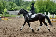 y_457d997c.webp