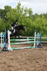 y_ff600334.webp