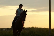 DSC09221.webp
